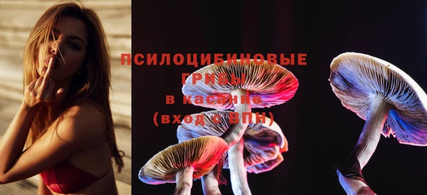 PSILOCYBIN Наволоки