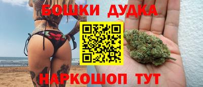 гидра Гусев