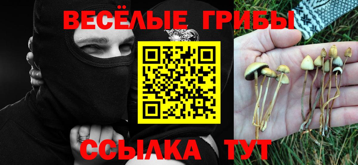 Миасс  Галлюциногенные грибы Psilocybine cubensis  где найти   Вход с VPN 