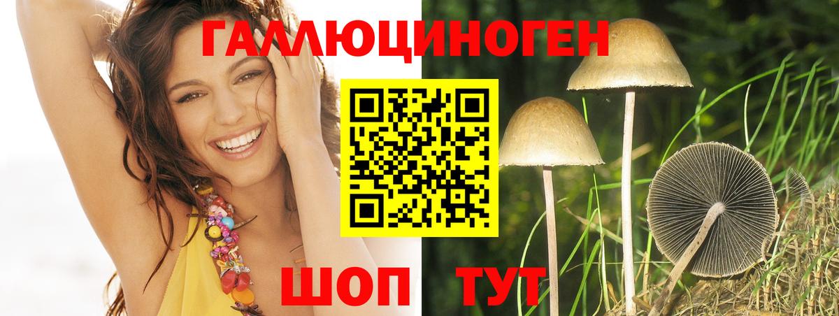 Кетыч  Миасс  МЕТ  Меф  Cocaine  МДМА  Вход с VPN  ГАШ  Molly  АМФЕТАМИН  APVP  Мяу-Мяу  Плюхи 