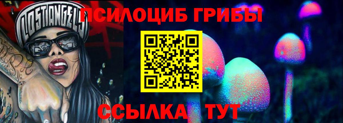 Псилоцибиновые грибы мицелий Миасс